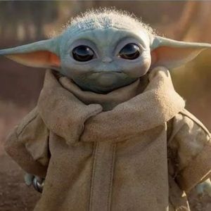 Meet your Posher, Allyse